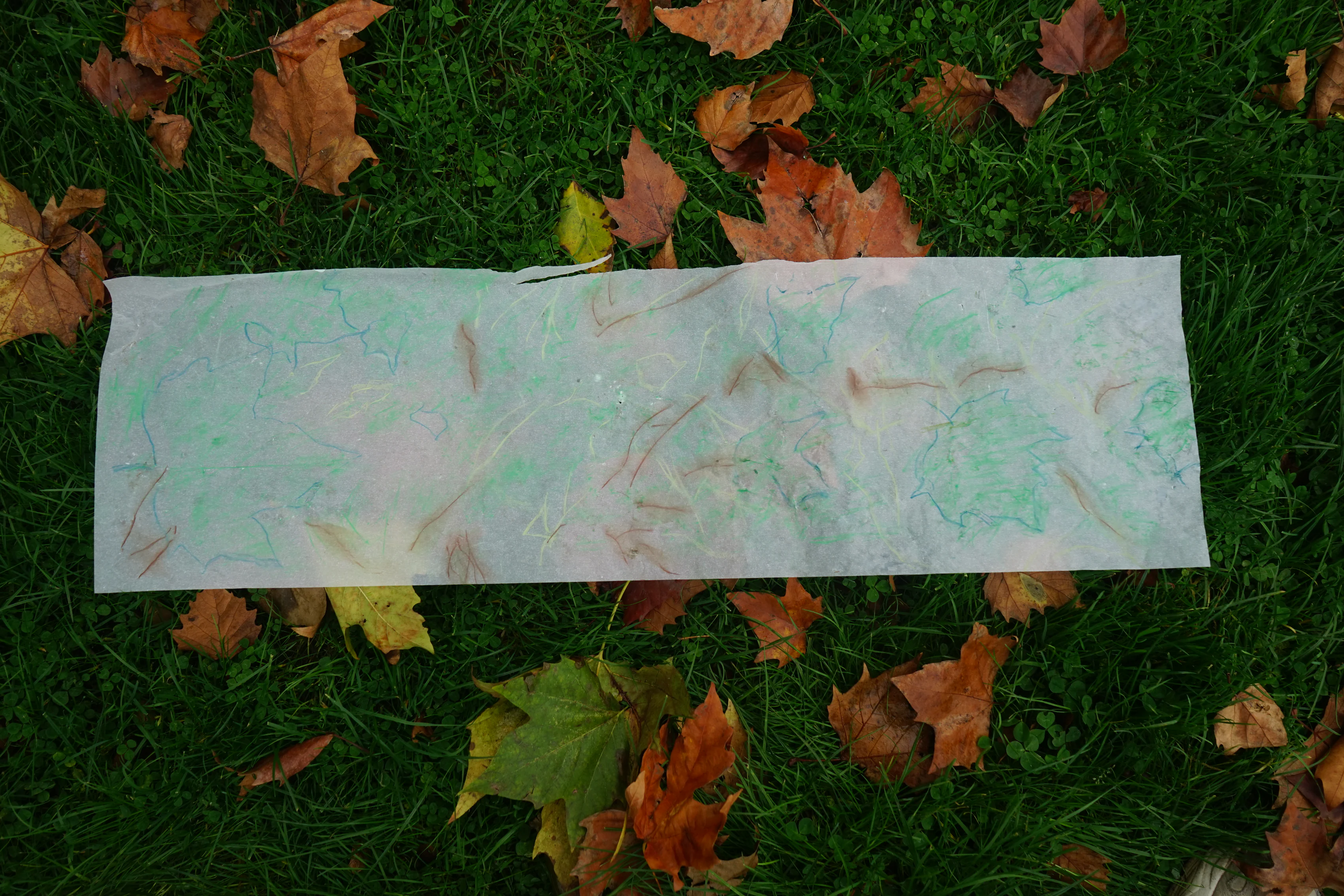 Trace detail image 2