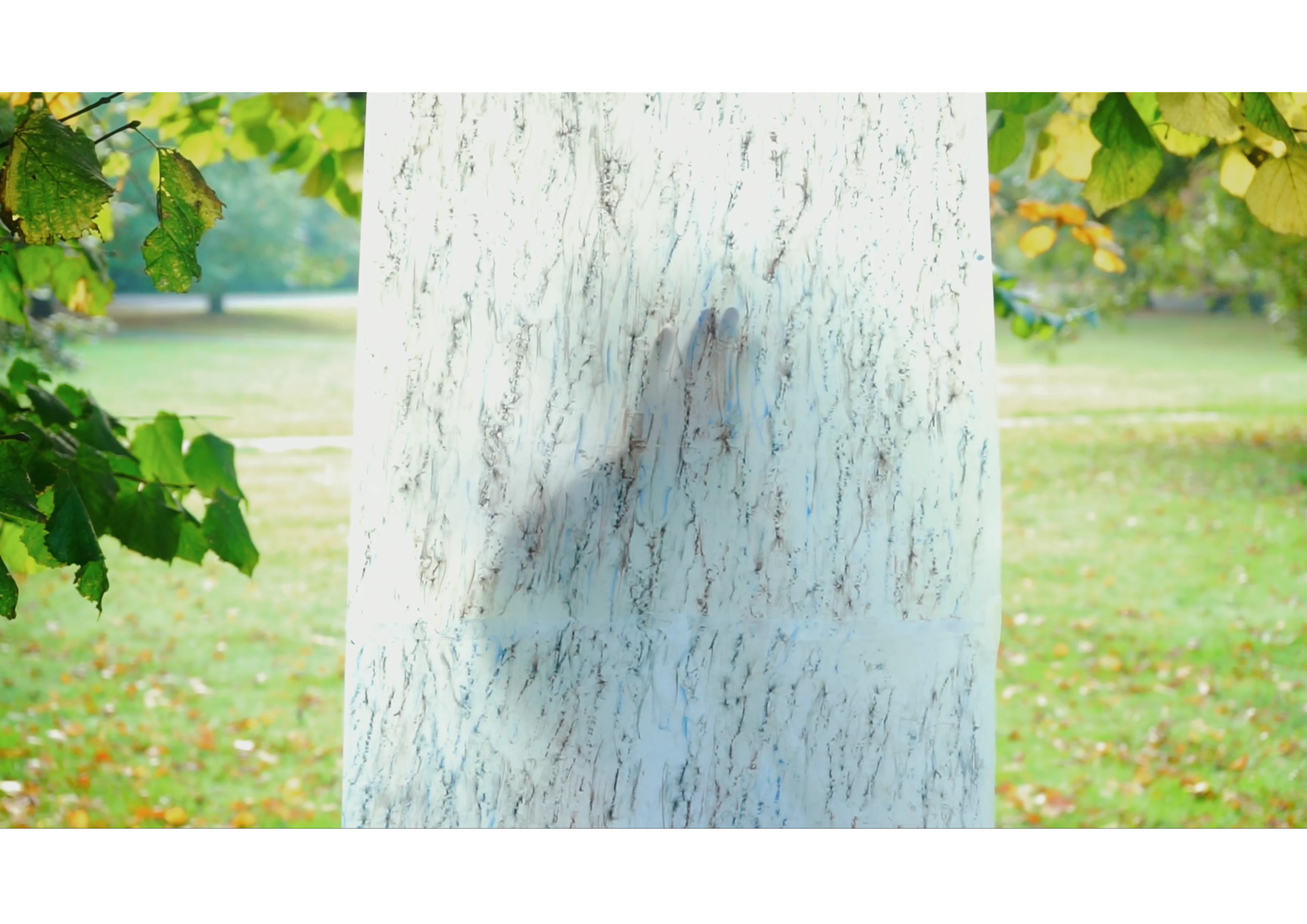 Trace image on ground